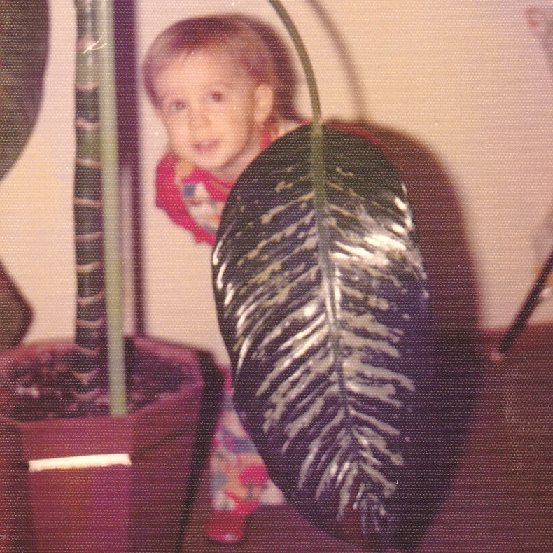 An original childhood photo of when Sylvia was little, peeking out from behind a giant houseplant leaf.